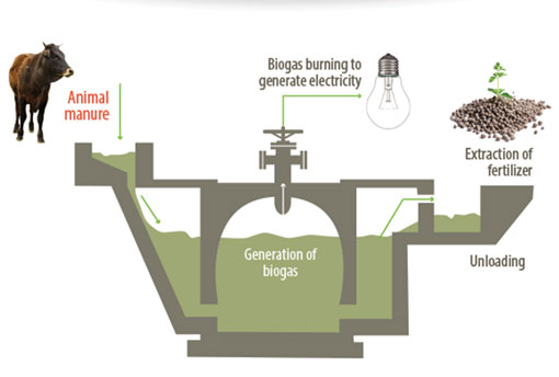 Biogas Image